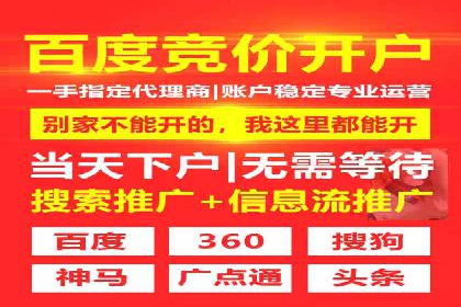 专业网站SEM托管服务案例展示
